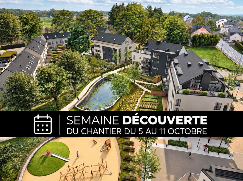Project te koop in Rue des Anglières 1,
                    6720 Habay-la-Neuve