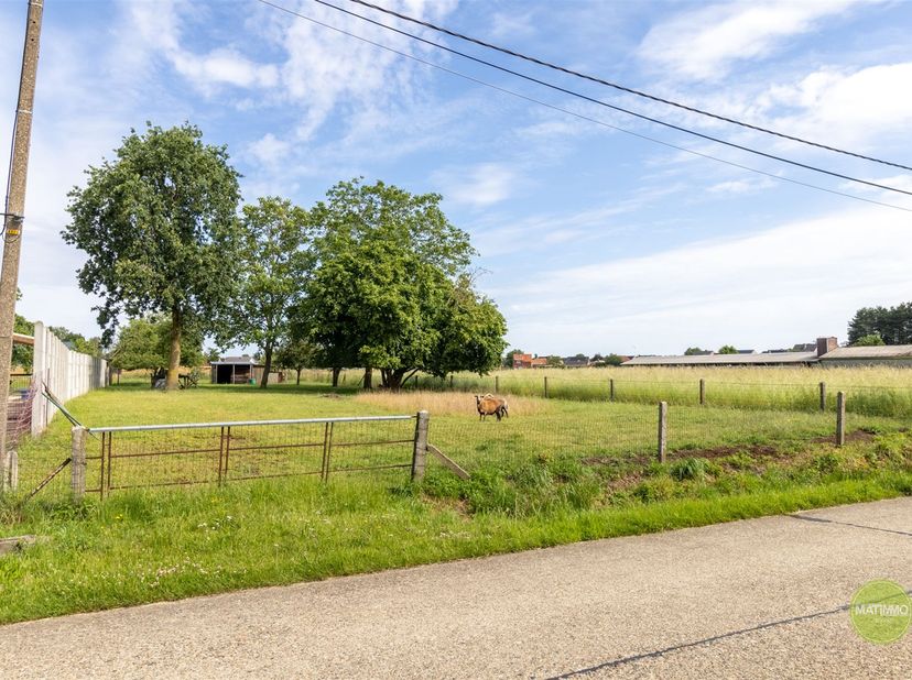 TERRAIN À BÂTIR À WESTERLO - VASTE PARCELLE RURALE OFFRANT DE NOMBREUSES POSSIBILITÉS<br />
<br />
Ce terrain à bâtir attrayant de 1 615 m² est situ
