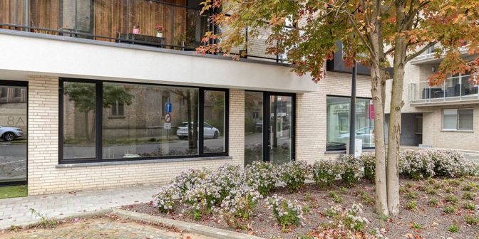 Bien professionnel à vendre à Guido Gezelleplein 8, 8840 Staden