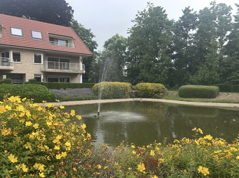 Appartement à louer
                    à 8490 Jabbeke