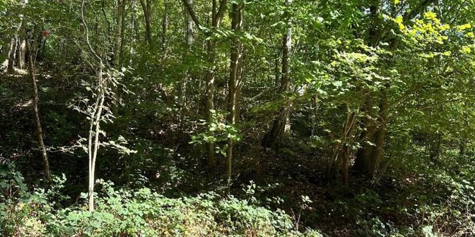 Terrain à vendre à Avenue Pont des Prêcheurs 23, 1495 Villers-la-Ville