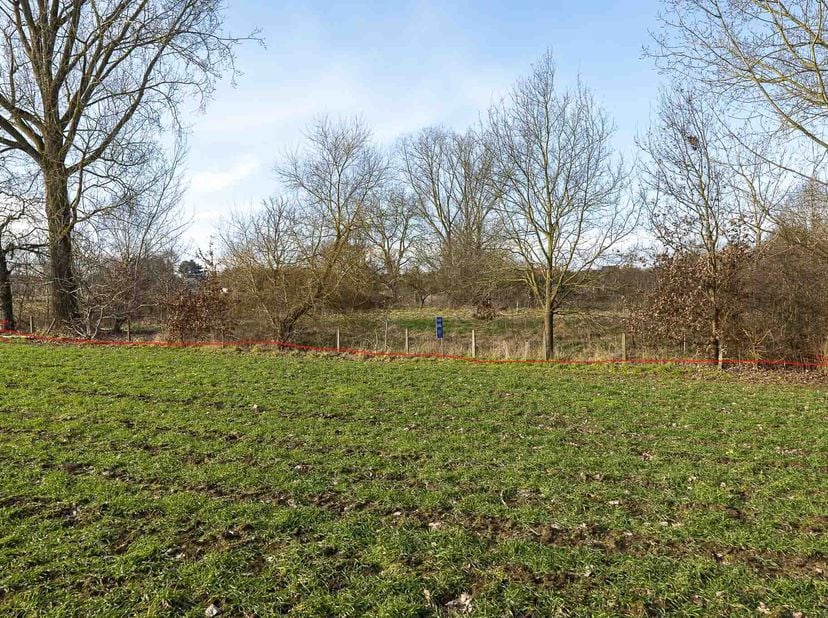 PERCEEL LANDBOUWGROND <br />
 <br />
Perceel landbouwgrond gelegen Parkstraat te Zichem, ter plaatse genoemd Molenveld. <br />
Het perceel heeft een o
