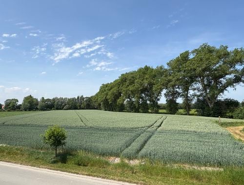                                         Woning te koop in Lapscheure, € 529.000
