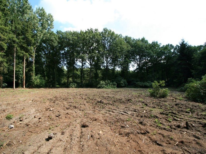 Uitstekende m²-prijs voor een open bebouwing in Oud-Turnhout. Mis deze buitenkans niet!<br />
<br />
Deze riante bouwgrond van 1.632m² (lot 9B) is str