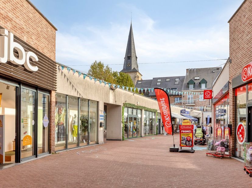Bien professionnel à vendre à Passage 5,
                    3740 Bilzen