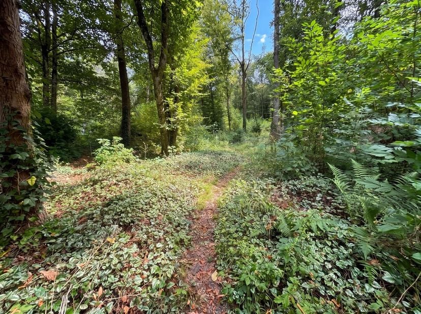 MCA Immobilier bieden u deze mooie chalet op een riant stuk grond van 2.795m² gelegen in een zeer rustige wijk midden de bossen en weilanden,  rust en