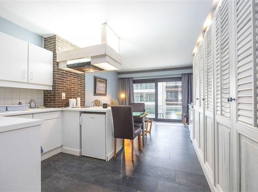 Instapklare  studio met slaaphoek, gelegen op de 3e verdieping, uitgevend op de Leopoldlaan. De leefruimte heeft een open keuken en een terras vooraan