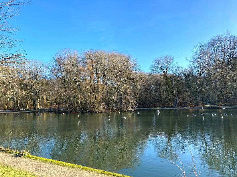 Profitant de belles perspectives sur la zone Natura 2000 tout en bordant le boulevard de la Woluwe, le projet résidentiel W56 est particulièrement bie