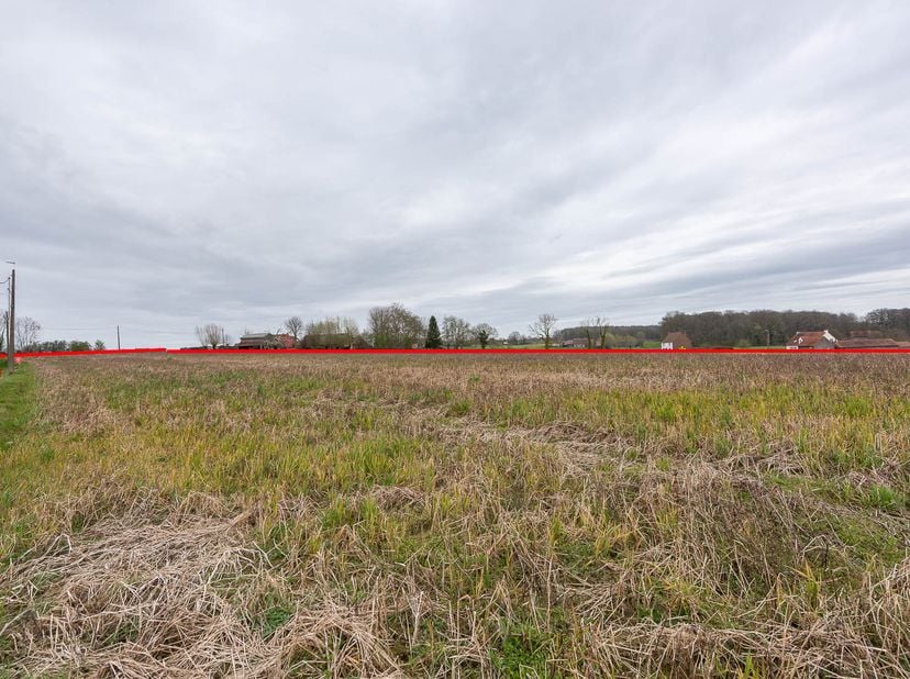 LOT 1: 2 PERCELEN LANDBOUWGROND -<br />
2 aaneensluitende mooie percelen landbouwgrond, ter plaatse genaamd ‘Meerschen’. <br />
a) Kadastrale gegevens