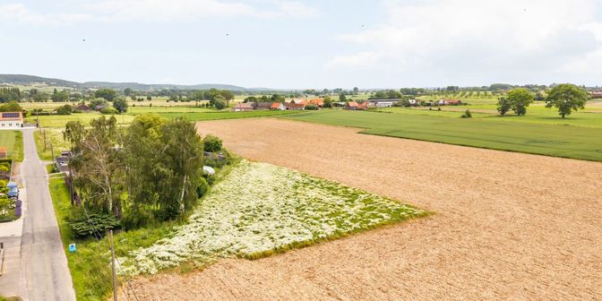 Terrain à vendre à Rue du Becquereau, 7760 Celles