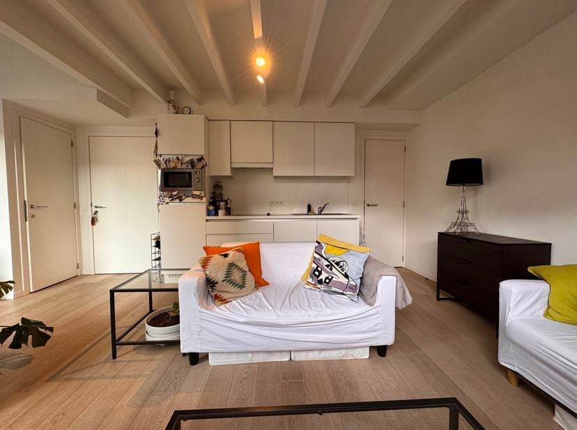 Dit gezellige duplexappartement is uitstekend gelegen aan de Lepelstraat 45, in het centrum van Leuven. Het appartement bevindt zich op de derde verdi