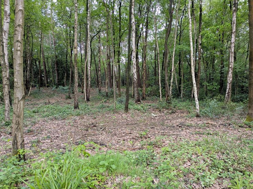 Rustig en groen gelegen perceel grond van 1.619m² in het woonbos te Essen<br />
Perceelbreedte: ca. 20m<br />
Perceeldiepte: ca. 81m<br />
Gelegen in