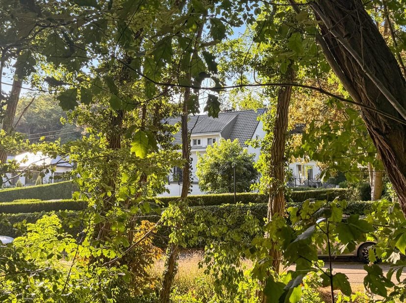 Exclusieve villa in Franse stijl met zwembad, poolhouse en professioneel kantoor op toplocatie in Aarschot<br />
Sommige woningen zijn veel meer dan e