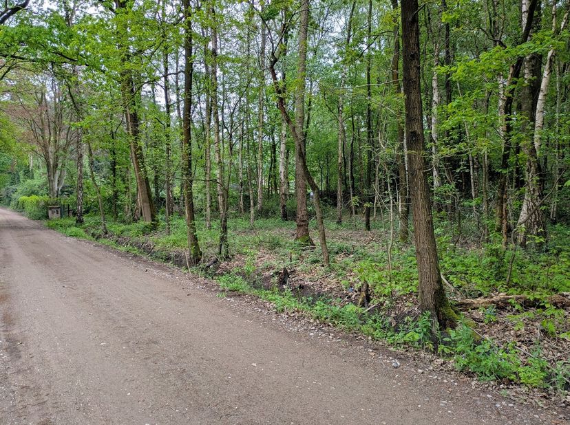 Rustig en groen gelegen perceel grond van 1.619m² in het woonbos te Essen<br />
Perceelbreedte: ca. 20m<br />
Perceeldiepte: ca. 81m<br />
Gelegen in