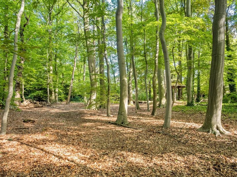 Vlakbij het centrum van Sint-Niklaas, ligt deze uitzonderlijke bouwgrond (lot 4) verscholen. Met een totale oppervlakte van maar liefst 3.533 m² biedt