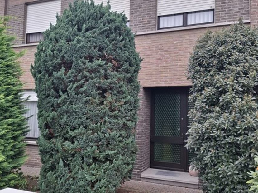 Maison à vendre
                    à 9290 Berlare