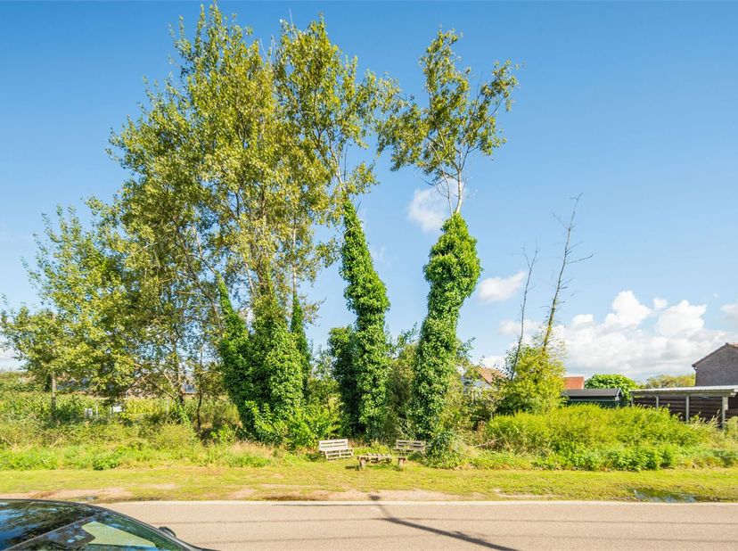 Terrain à vendre
                    à 3900 Overpelt