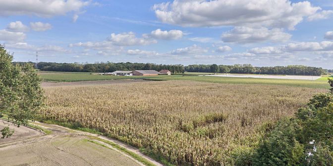 Grond te koop in Lochterveld, 3940 Hechtel