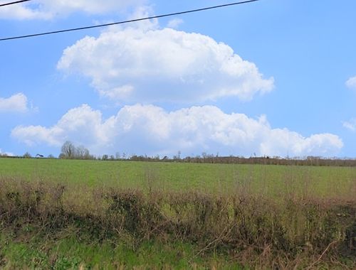                                         Terrain à bâtir à vendre à Momignies, € 65.000
