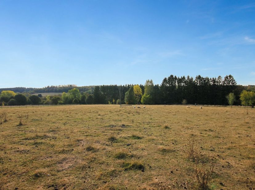 Terrain à vendre à ,
                    5670 Oignies-en-Thiérache