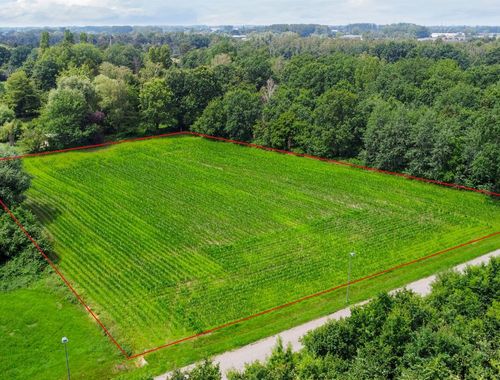                                         Bos te koop in Duffel, € 75.000
