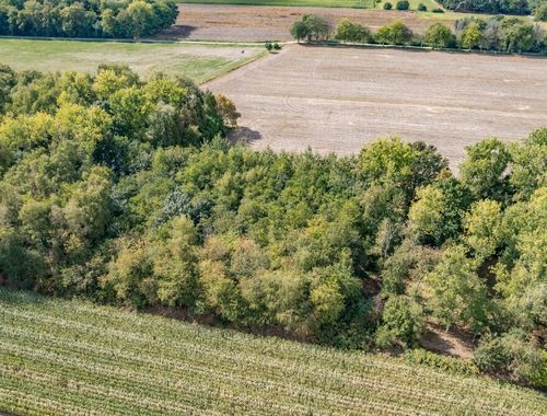                                         Bos te koop in Wachtebeke, € 39.000
