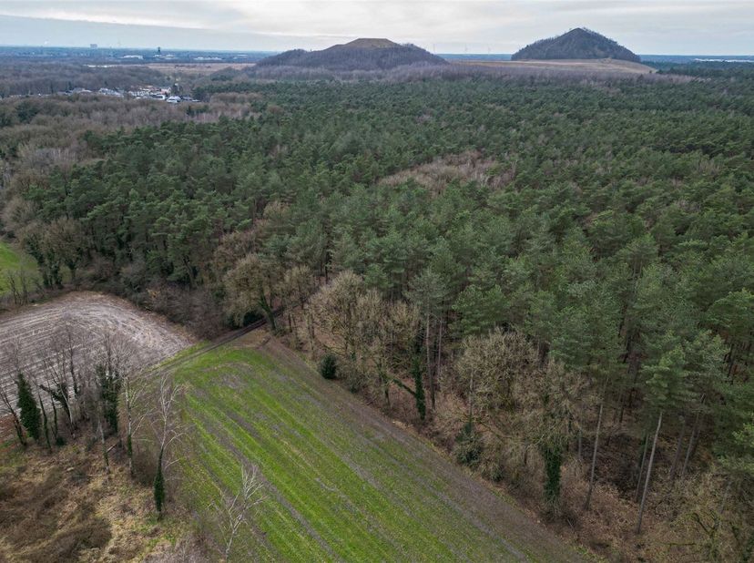 Prachtig bosperceel van 45a50ca in rustige groene omgeving<br />
<br />
Omgeving:<br />
+ Gelegen in een rustige en landelijke omgeving<br />
+ Vl