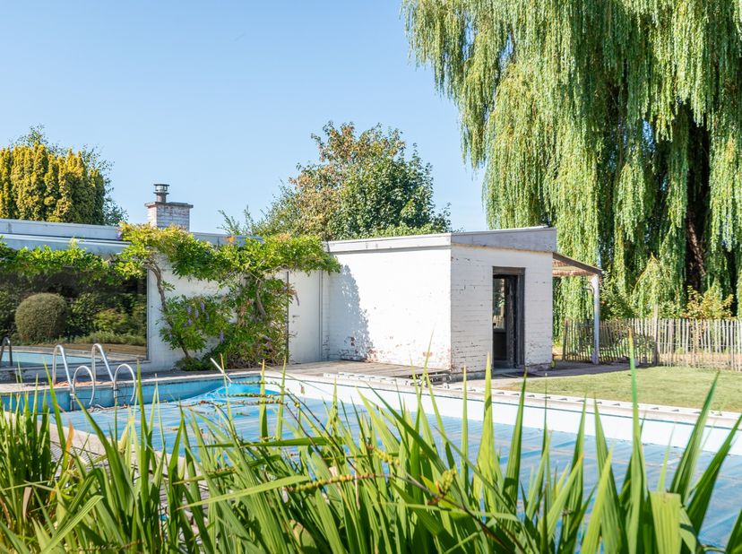 Op toplocatie te Waregem vinden we deze bungalow. Gelegen op een uitzonderlijk perceel van 1700m2, volledig omringd door groen. De woning gebouwd in 1