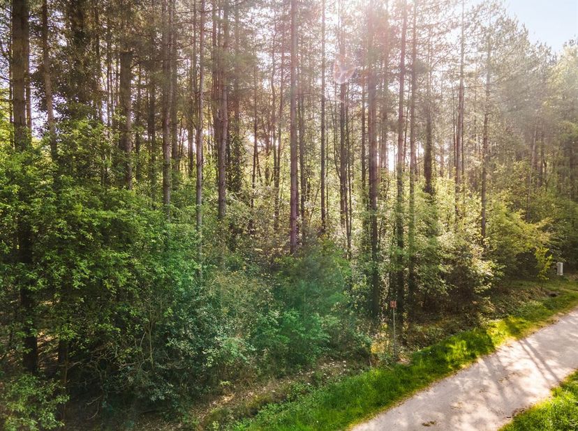 Prachtig gelegen recreatiegrond met verkavelingsvergunning te Wechelderzande<br />
In een uitzonderlijk groene en rustige omgeving in Wechelderzande b