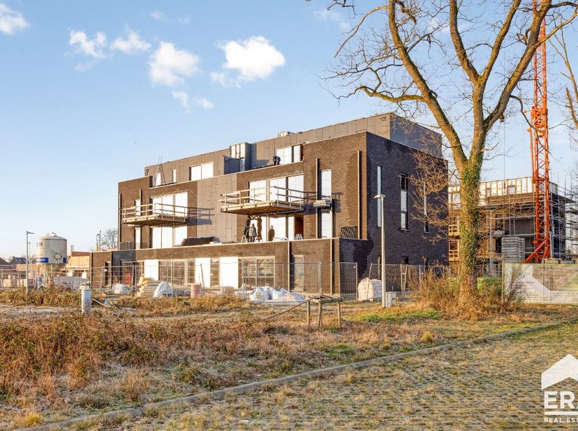 Park Gijsen : un projet de construction durable et écologique de haute qualité à Leopoldsburg! Le projet consiste en 2 bâtiments de 13 appartements et