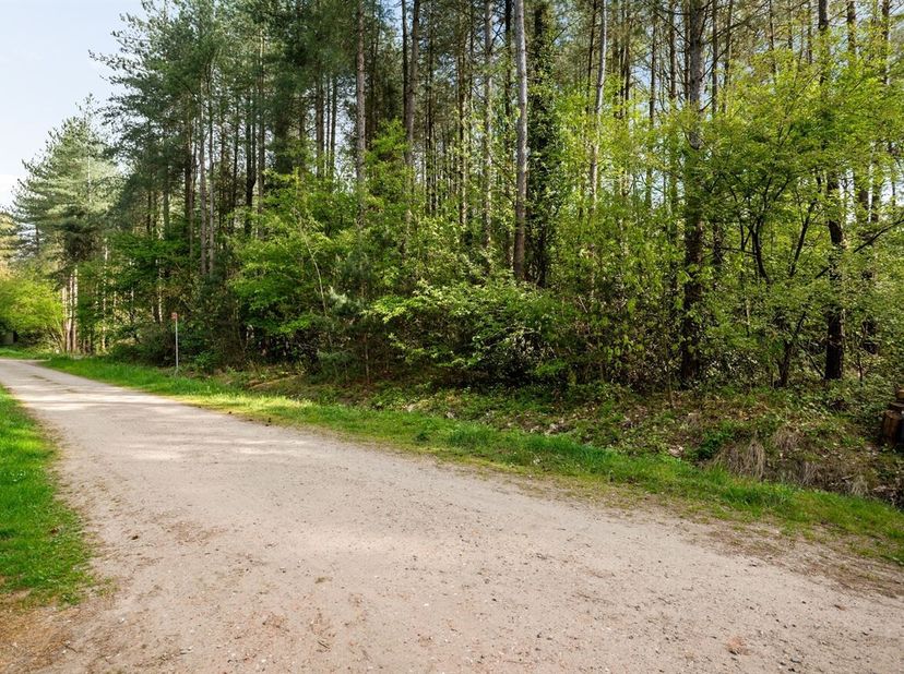 Terrain de loisirs magnifiquement situé avec permis de lotir à Wechelderzande<br />
Dans un environnement exceptionnellement vert et paisible à Wechel
