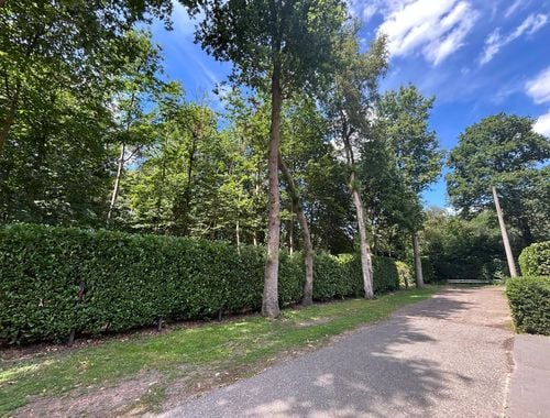                                        Bois à vendre à Waasmunster, € 35.000
