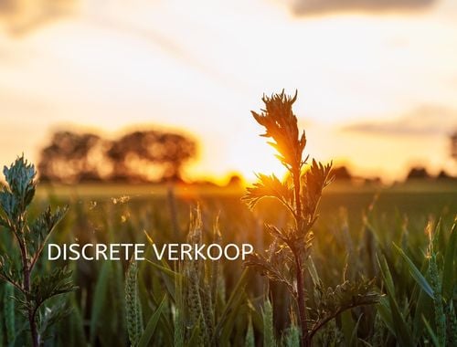                             Hoeve te koop in Bellem
