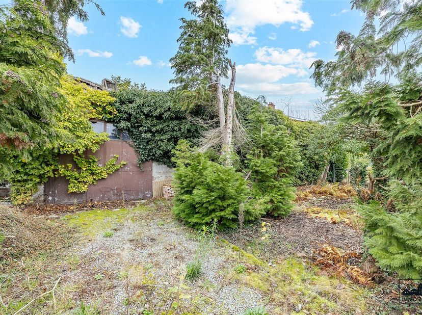 Ontdek dit perceel bouwgrond (2.904 m²) gelegen in de Volaardestraat te Dendermonde, ideaal voor de realisatie van een vrijstaande woning in een rusti