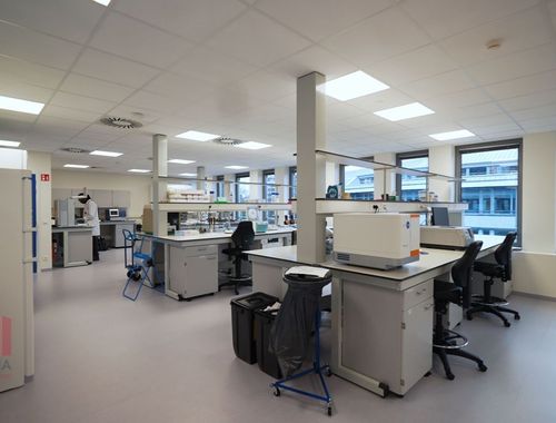                                         Bureaux à louer à Jette, € 11.250
