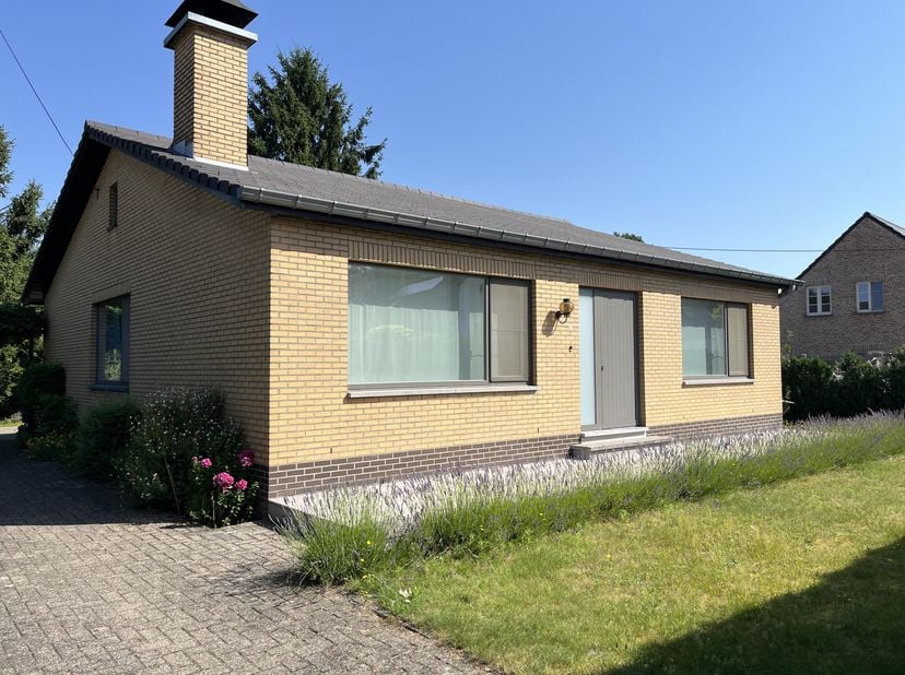 Een instapklare, gelijkvloerse woning met 3 slaapkamers en ruime garage op een rustige locatie en ruim perceel van 13a 25ca.<br />
<br />
Indeling: ru