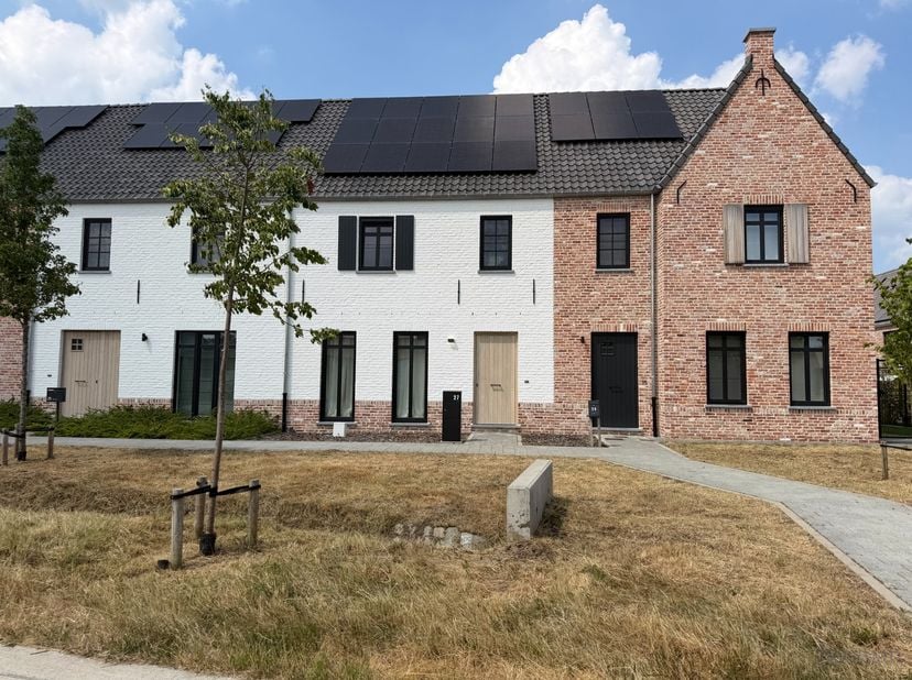 Maison à louer
                    à 3980 Tessenderlo
