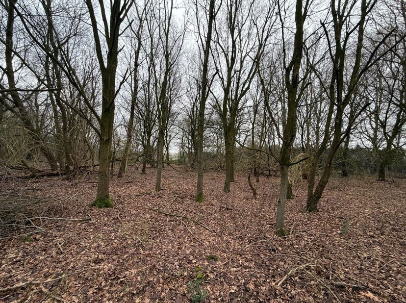 Landbouwgrond van 11a 75ca in een rustige en groene omgeving.<br />
Ligging:<br />
In de bruisende gemeente Beverlo kan u heerlijk genieten van de m