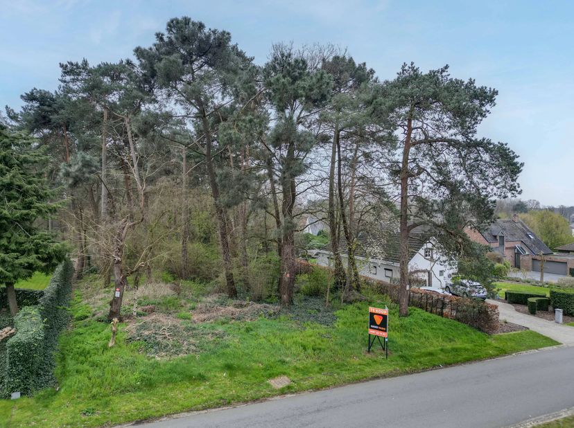 Deze prachtige bouwgrond van 15 are is gelegen in de Snijwitstraat 20 in Houthalen.<br />
Met een perceeldiepte van 60 meter en een straatbreedte van
