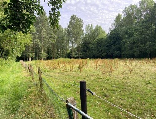                                         Weide te koop in Vorst, € 58.000
