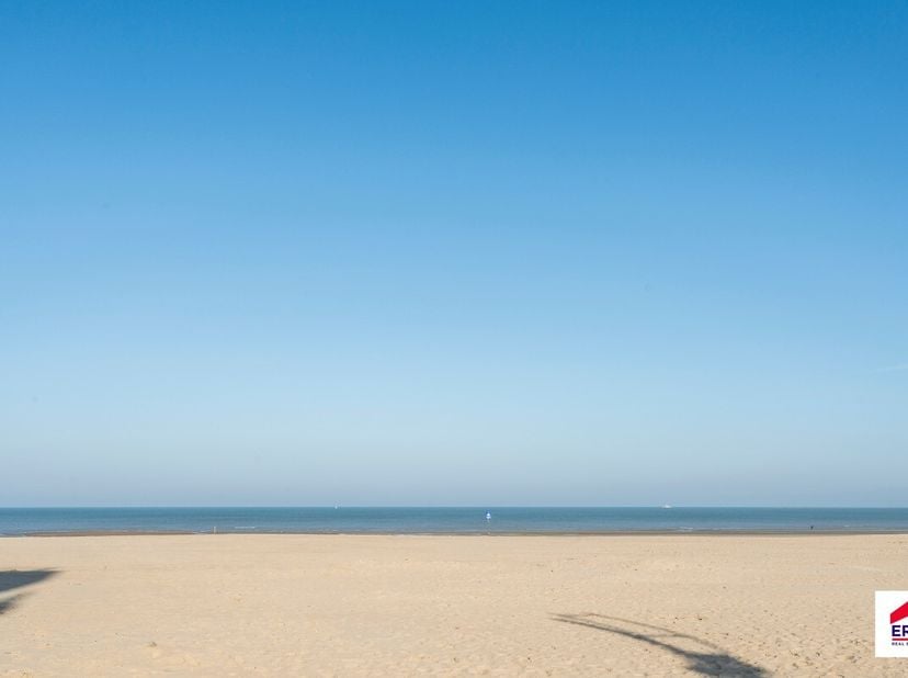 Te koop: gezellig appartement in het centrum van Koksijde, op korte wandelafstand van zee en duinen.Dit 2 slaapkamer appartement aan het Zouavenplein