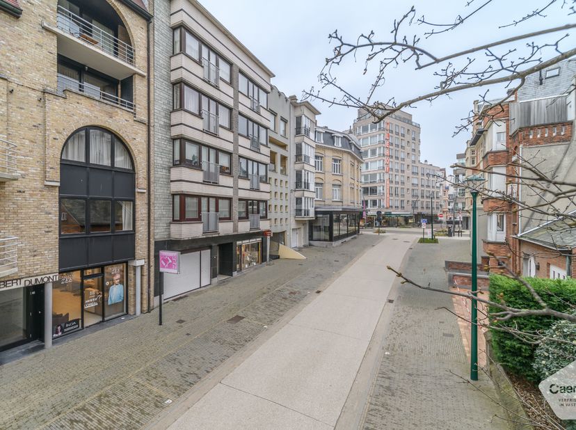 Situé sur la prestigieuse et très fréquentée A. Dumontlaan, en plein centre de La Panne, ce commerce de plain-pied offre de nombreuses possibilités d’