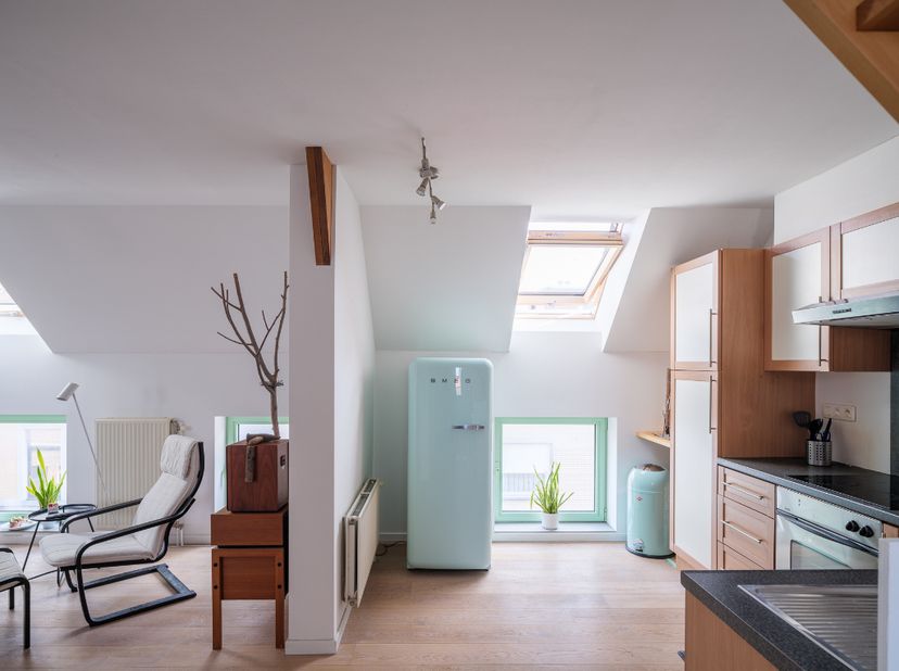 Opbrengsteigendom met magazijn en twee appartementen nabij Gent<br />
<br />
Gelegen in een jonge, vlot bereikbare buurt ten noorden van Gent, op kort