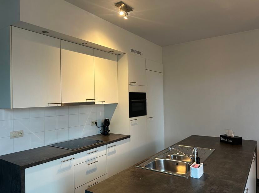Appartement à louer
                    à 3990 Wijchmaal