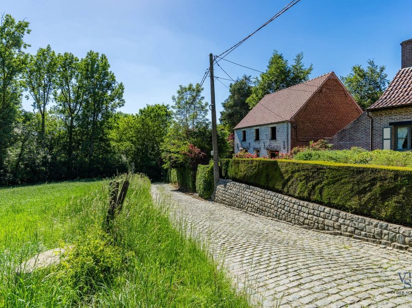 Maison à vendre
                    à 9630 Sint-Denijs-Boekel