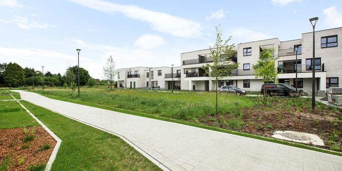 Project in Hezerpad, 3920 Lommel