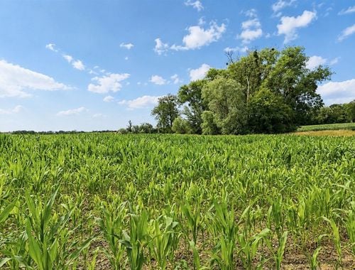                                         Landbouwgrond te koop in Haillot, € 237.900
