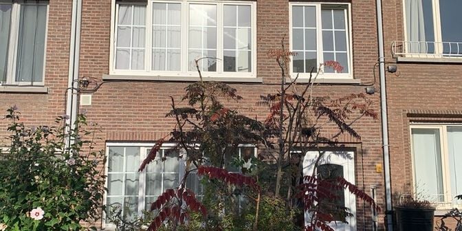 Appartement te huur in Gudrunlaan 26 bus 101, 2170 Merksem