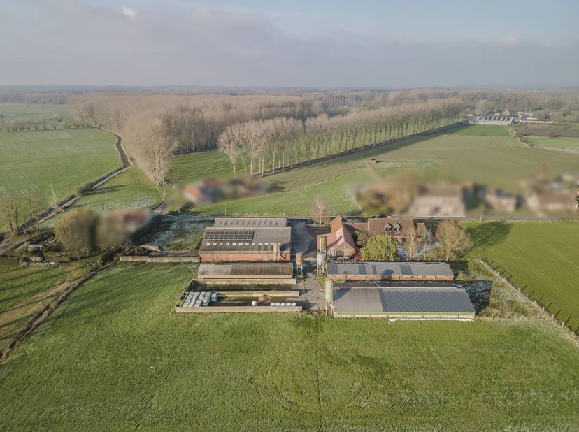 Hier treft u een goed onderhouden villa (bouwjaar 2001) met een gunstig EPC-label B. De woning beschikt over een zuidgerichte tuin en een grote oprit.