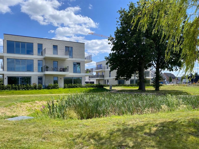 Voor meer informatie betreft de woning, gelieve te surfen naar: https://verdegemvastgoed.be/project/22192/vh_evergem_korianderstraat-39_003<br />
<br